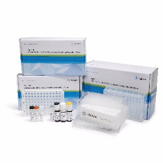 使用2-AB Express的AdvanceBio Gly-X N-糖前处理,24 ct图片