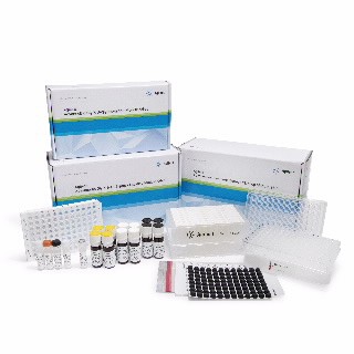 使用2-AB Express的AdvanceBio Gly-X N-糖前处理试剂盒,96 ct图片