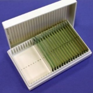 低辐射(Kevley)玻片,25/包图片