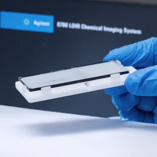 微塑料玻片样品支架套件图片