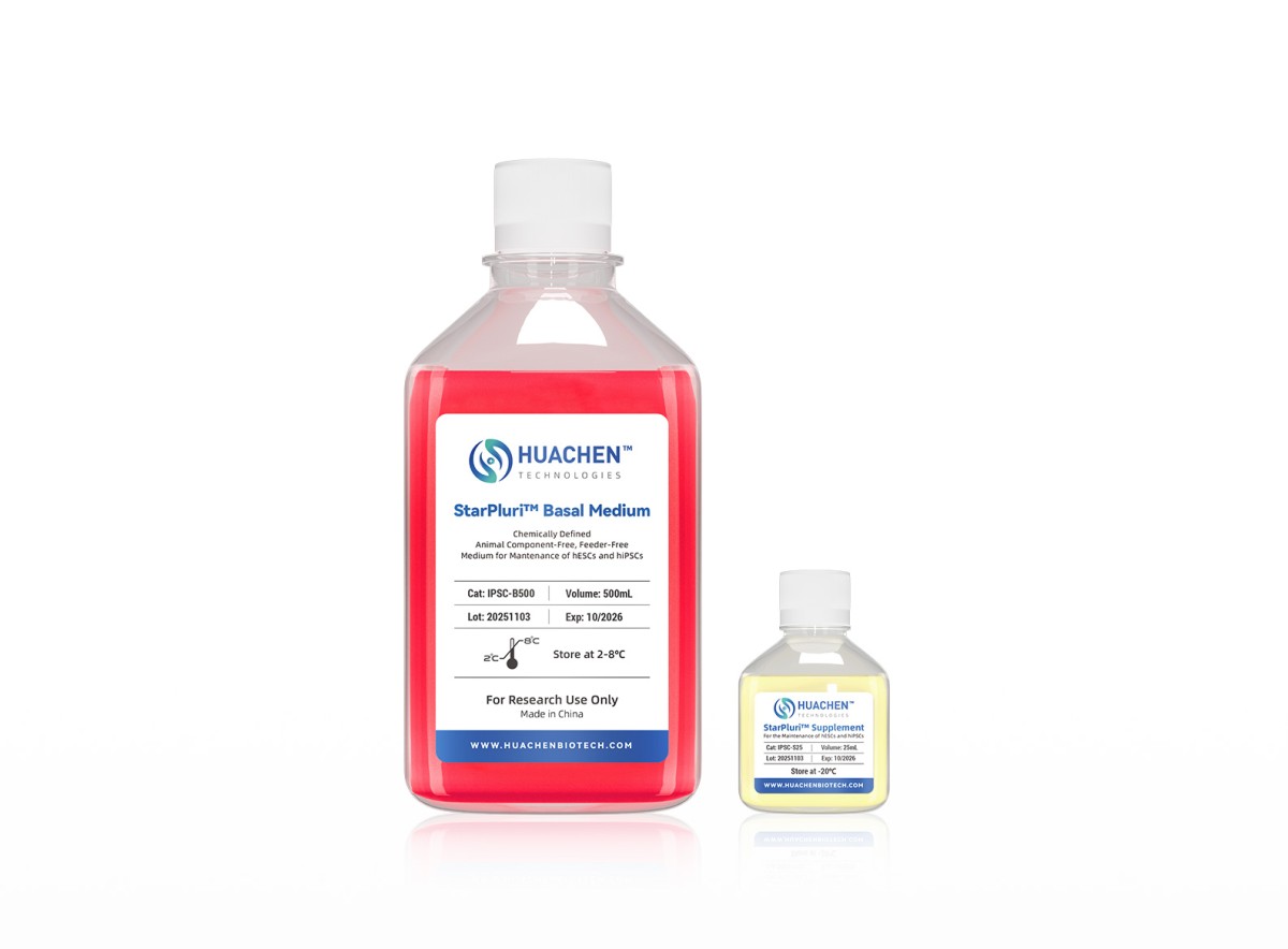 iPSC培养基图片