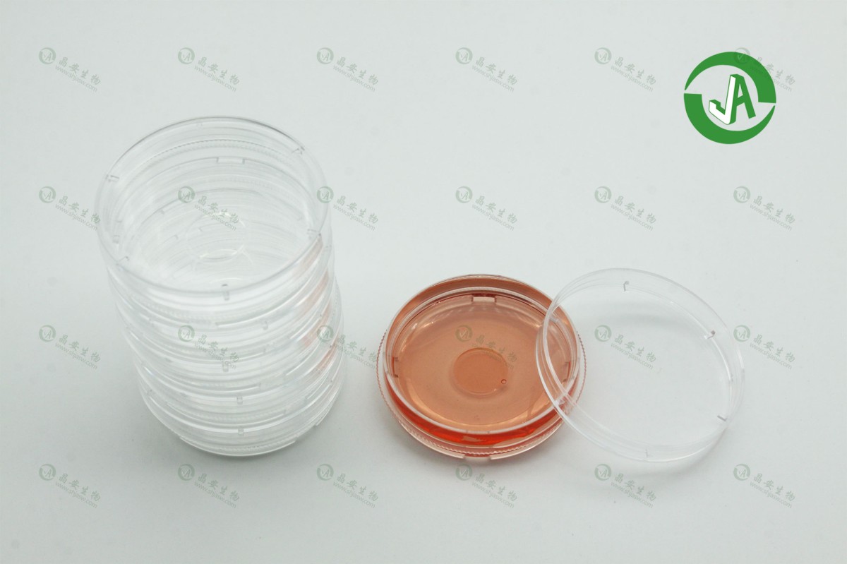 I型胶原包被共聚焦玻底皿20mm图片