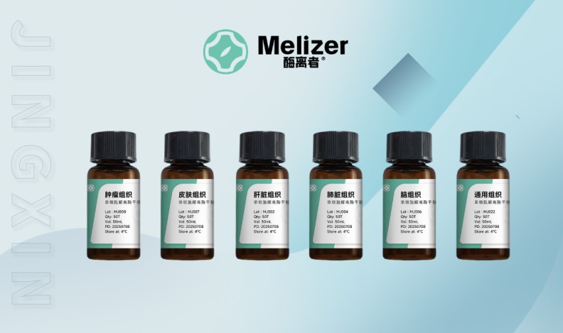 肾脏组织单细胞解离酶MJ005图片