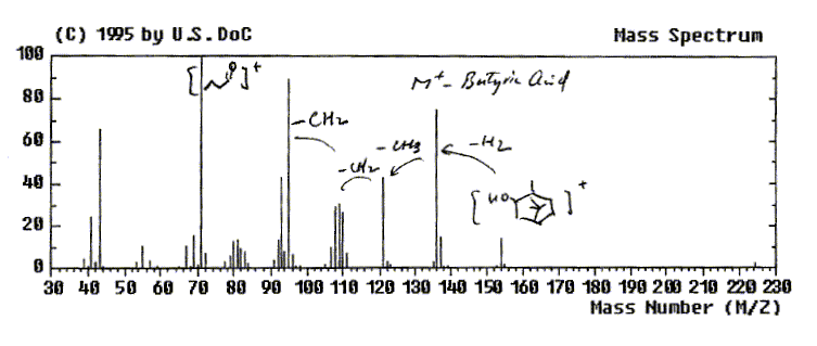Butyric acid, 2-bornyl ester光谱图1
