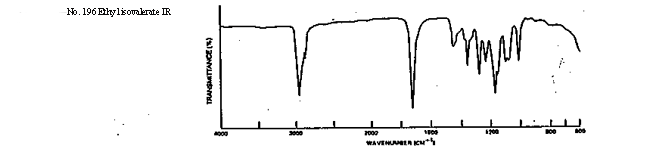 Ethyl isovalerate光谱图1