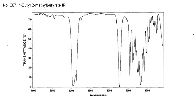 n-Butyl 2-methylbuytyrate光谱图1