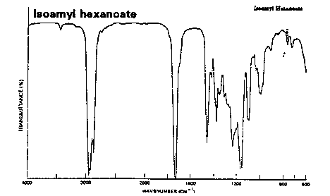 Isoamyl caproate光谱图1