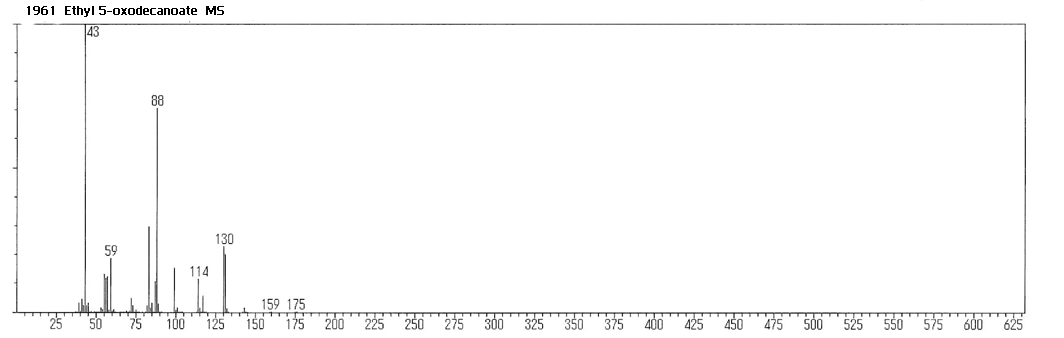 Decanoic acid, 5-oxo-, ethyl ester光谱图1