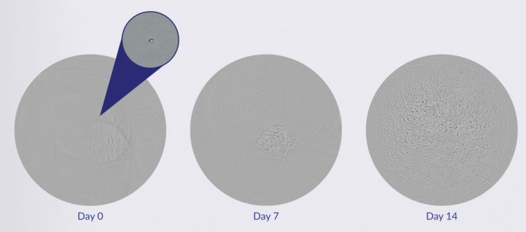 克隆筛选单细胞打印系统