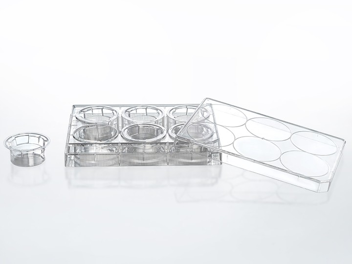 聚对苯二甲酸乙二醇酯膜(PET)细胞嵌入皿, 6孔,膜孔径0.1μm,灭菌, TCS017006图片