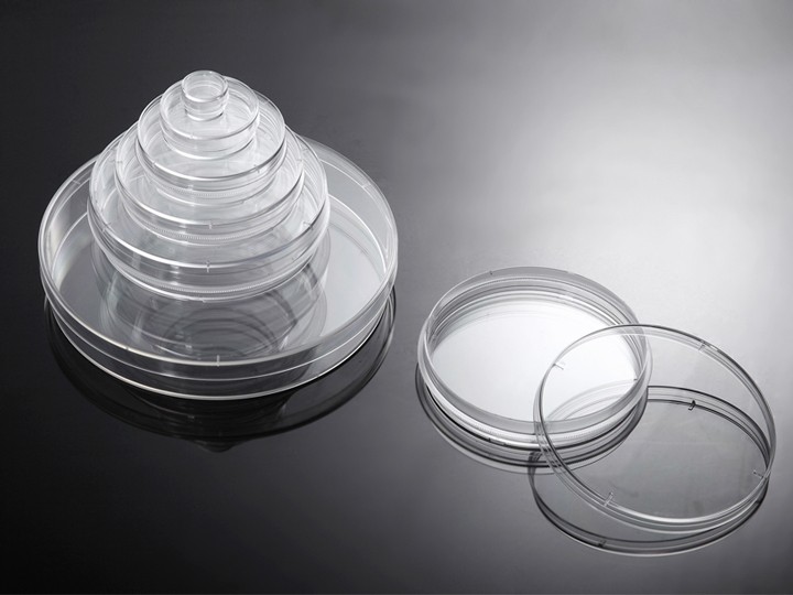 一次性不带齿环细菌培养皿,带盖, 35 mm直径, MCD000035图片