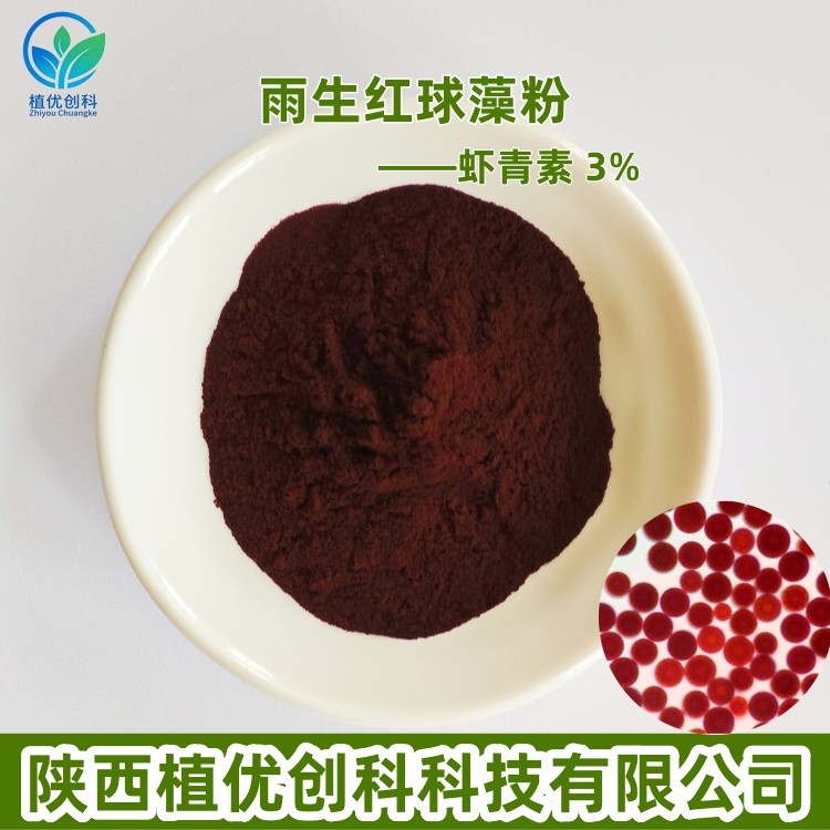 雨生红球藻粉图片