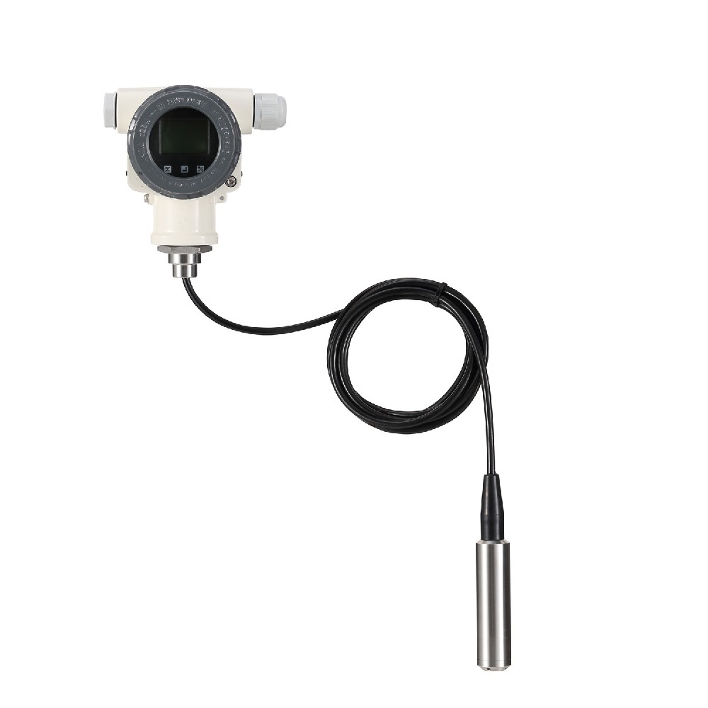 PM10静压式液位计图片