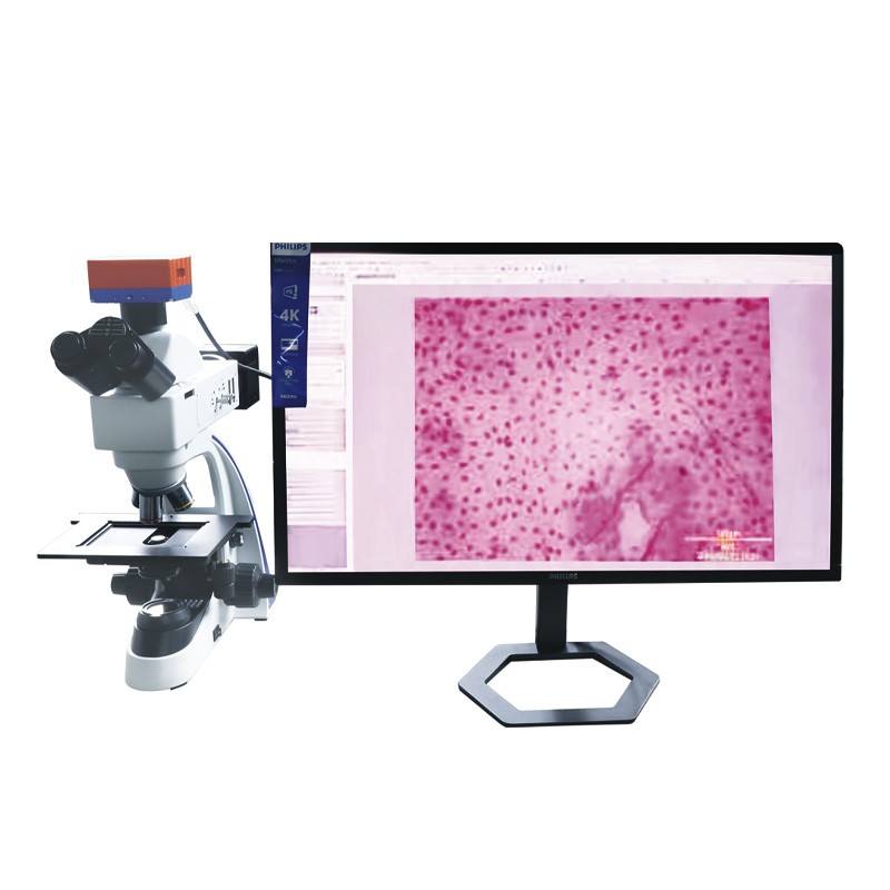 SYD-XW纤维图像分析仪图片