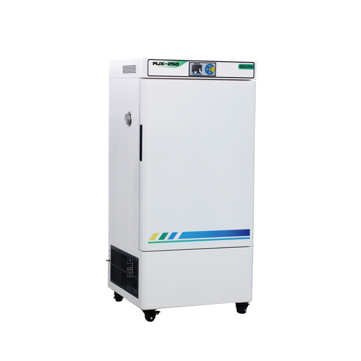 MJX-250霉菌培养箱图片