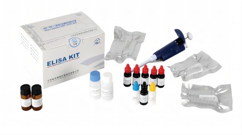 邻苯二甲酸二丁酯(DBP)ELISA检测试剂盒图片