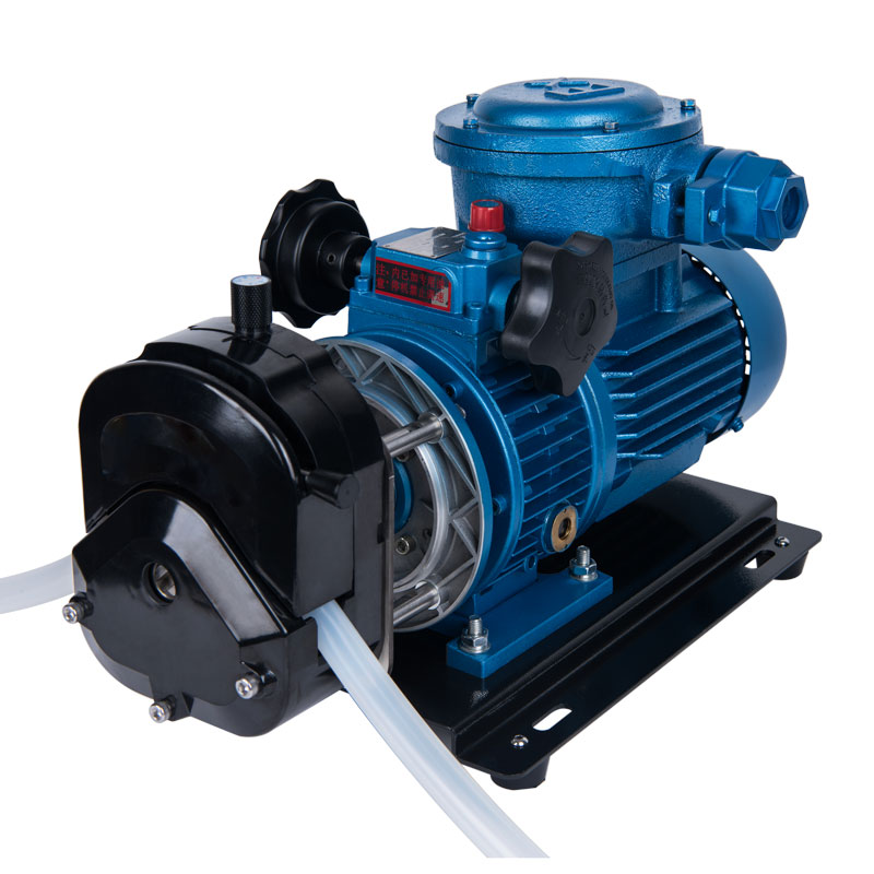 FB600S-02手轮调速防爆蠕动泵图片